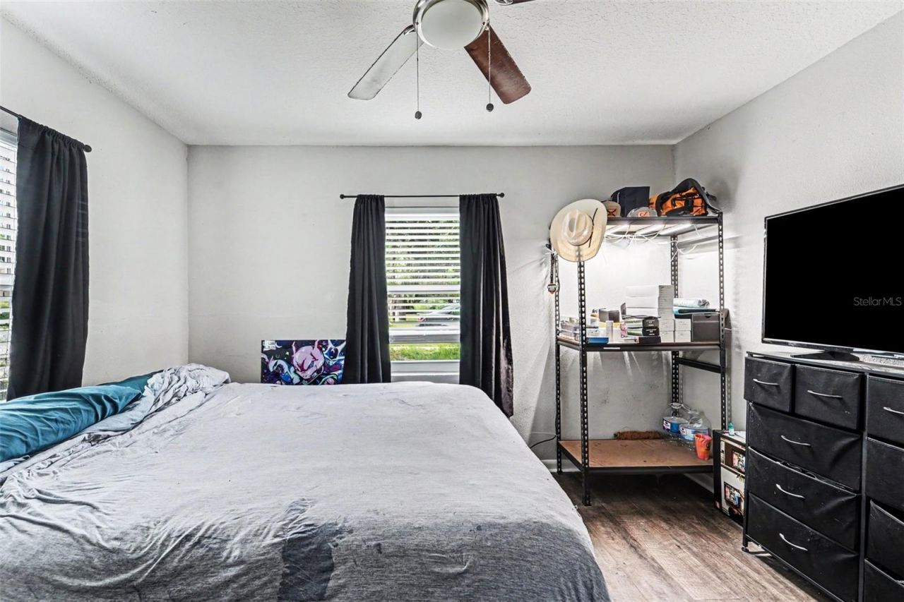 1024 Grant Avenue, Mount Dora, FL 32757 Photo