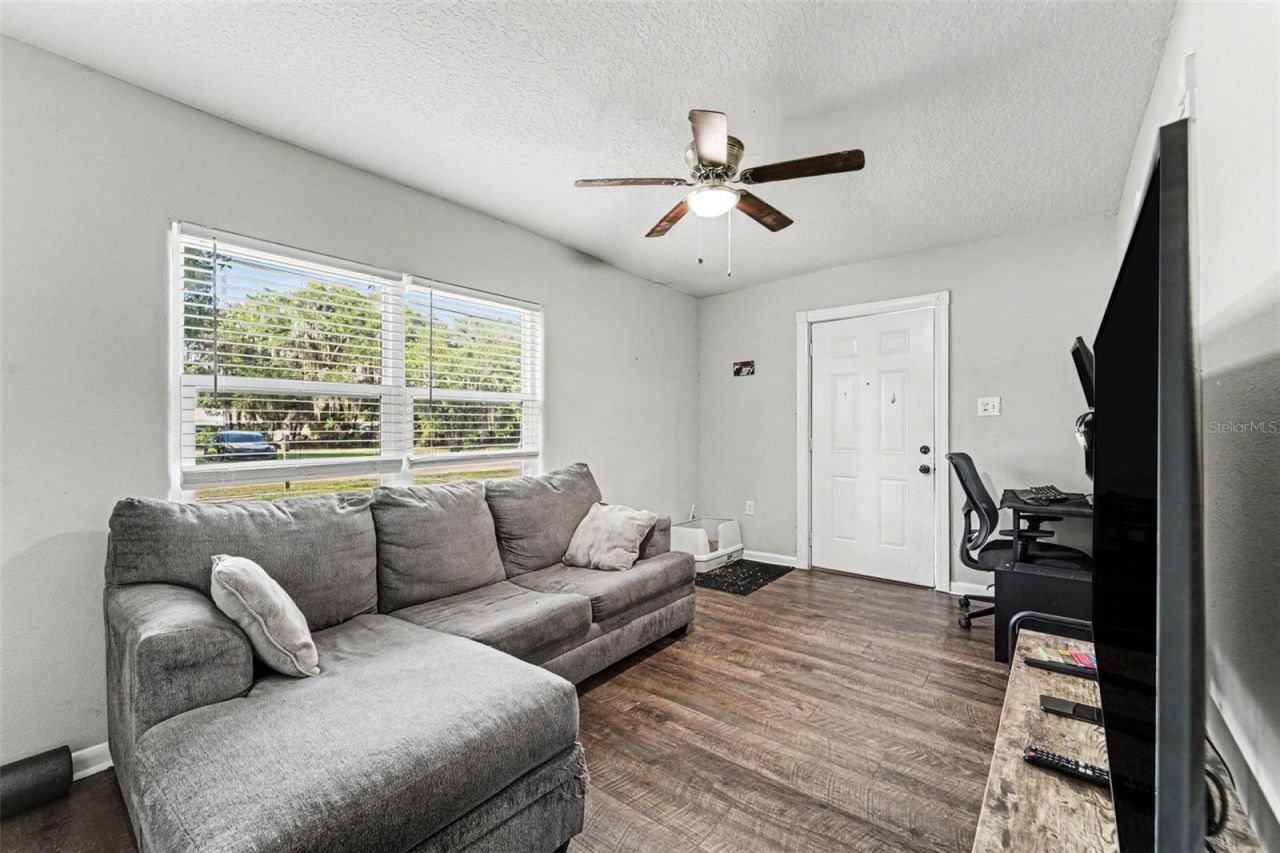 1024 Grant Avenue, Mount Dora, FL 32757 Photo