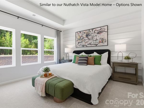 6055 White Aster Lane, Charlotte, NC 28216
