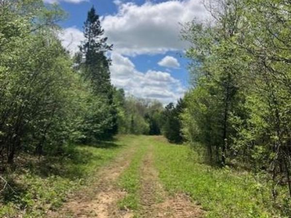246 Madison CR 410 , Fredericktown, MO 63645