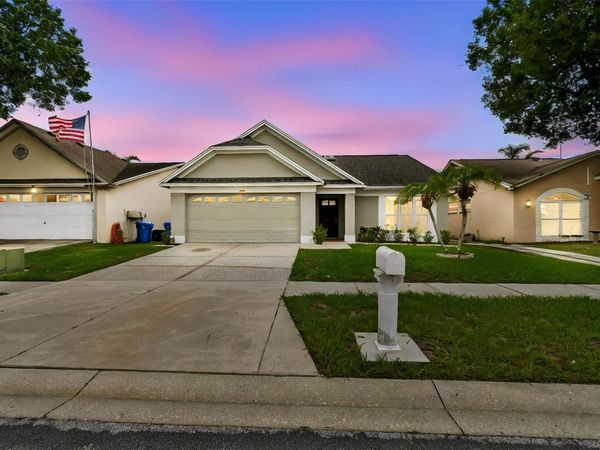10105 SEA SPRAY PLACE , TAMPA, FL 33624