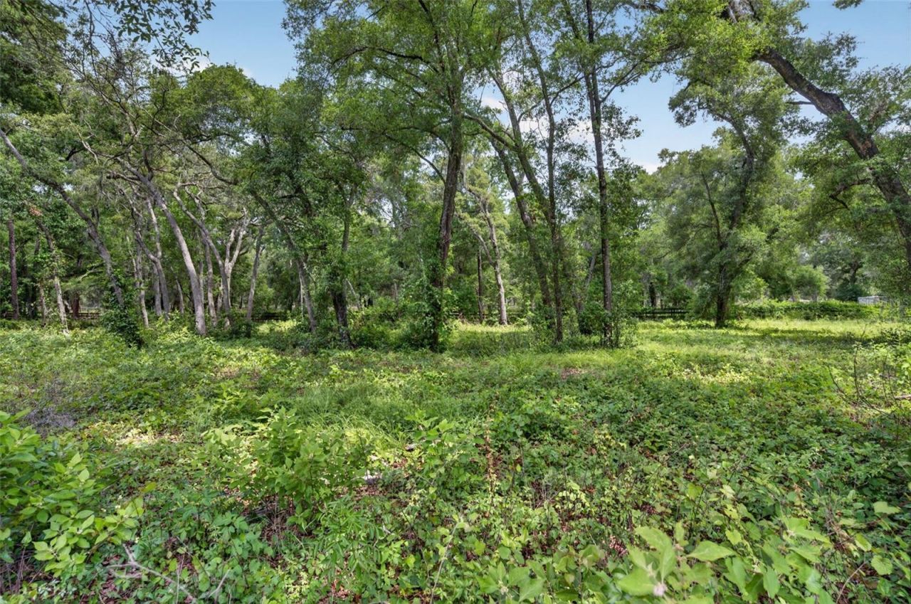 20621 Shady Oak Lane , Eustis, FL 32736 Photo