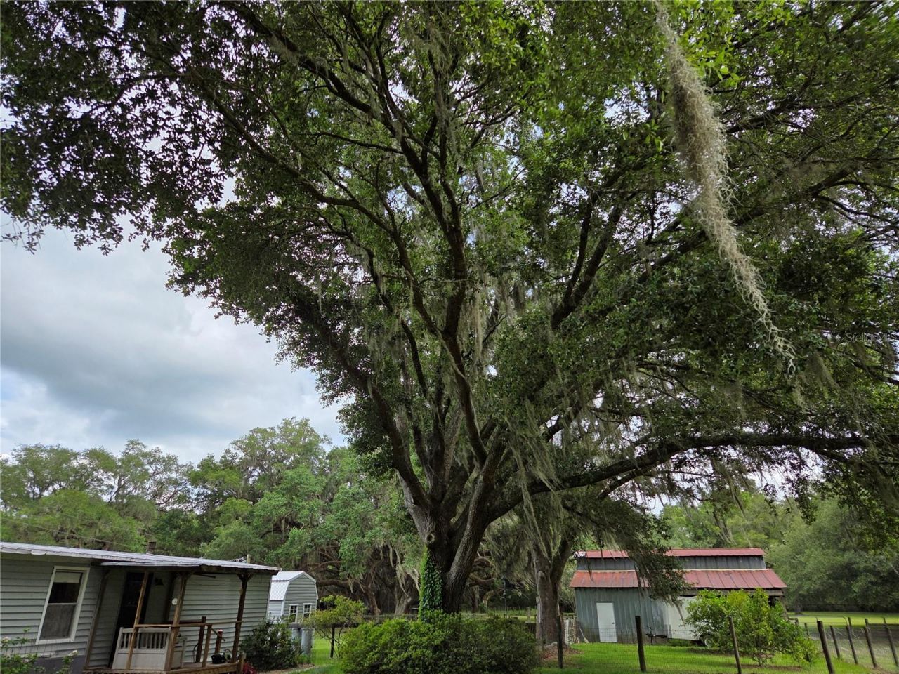 2450 SE 190th Terrace , Morriston, FL 32668 Photo