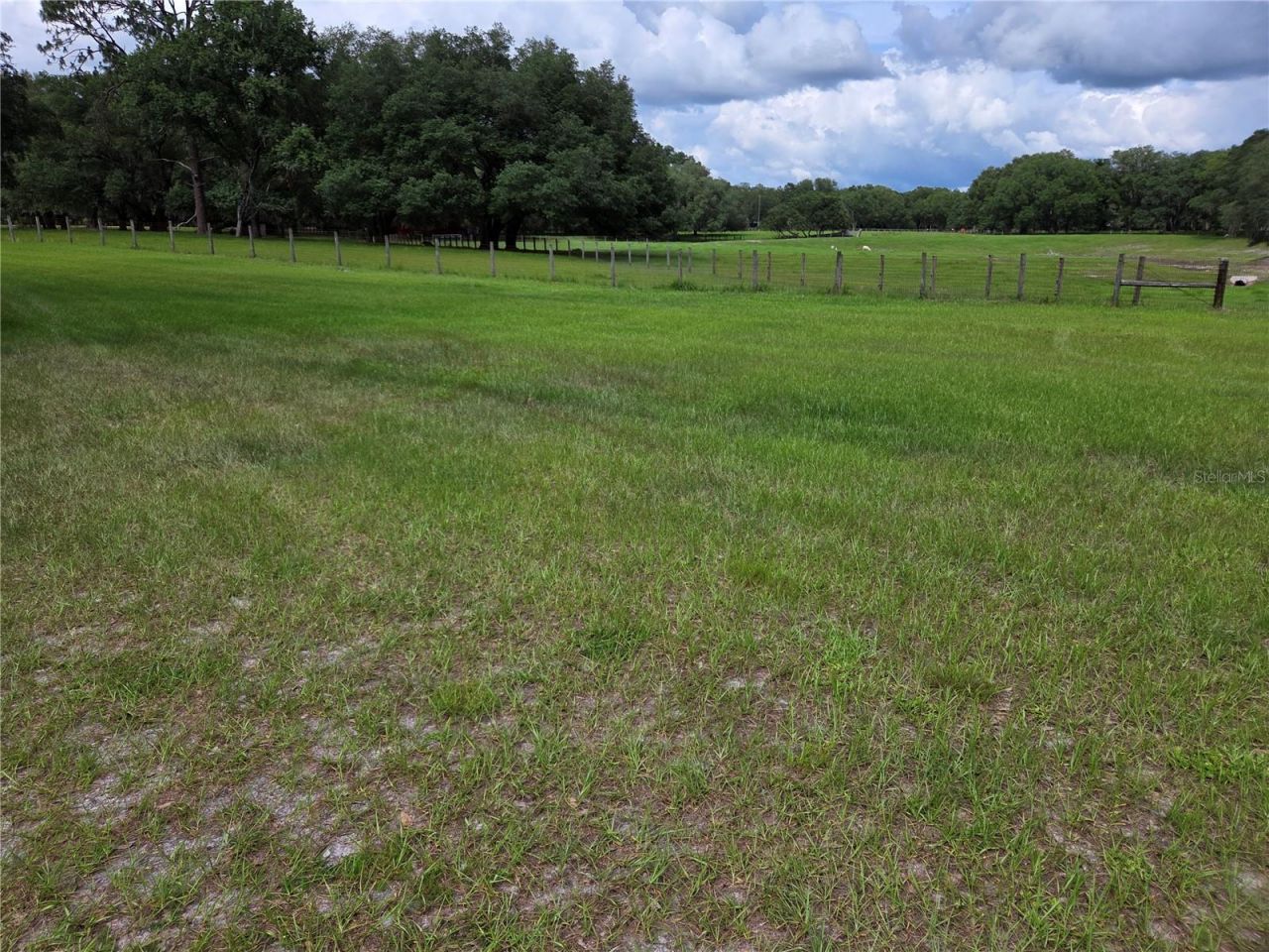 2450 SE 190th Terrace , Morriston, FL 32668 Photo