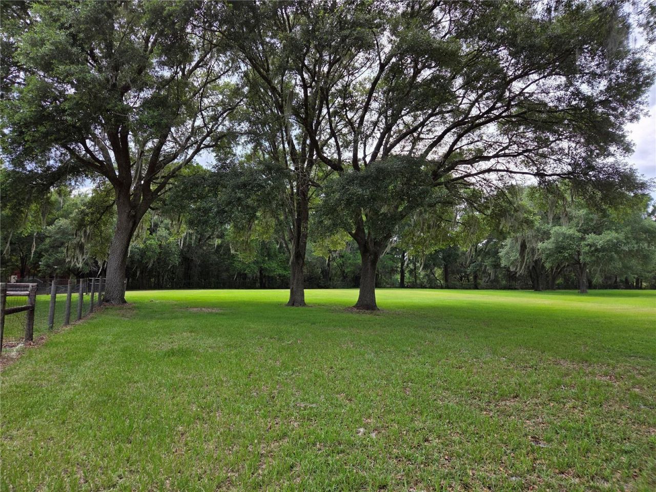 2450 SE 190th Terrace , Morriston, FL 32668 Photo