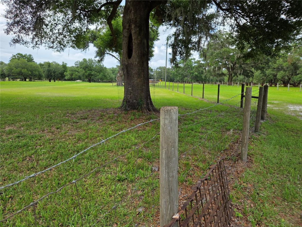 2450 SE 190th Terrace , Morriston, FL 32668 Photo