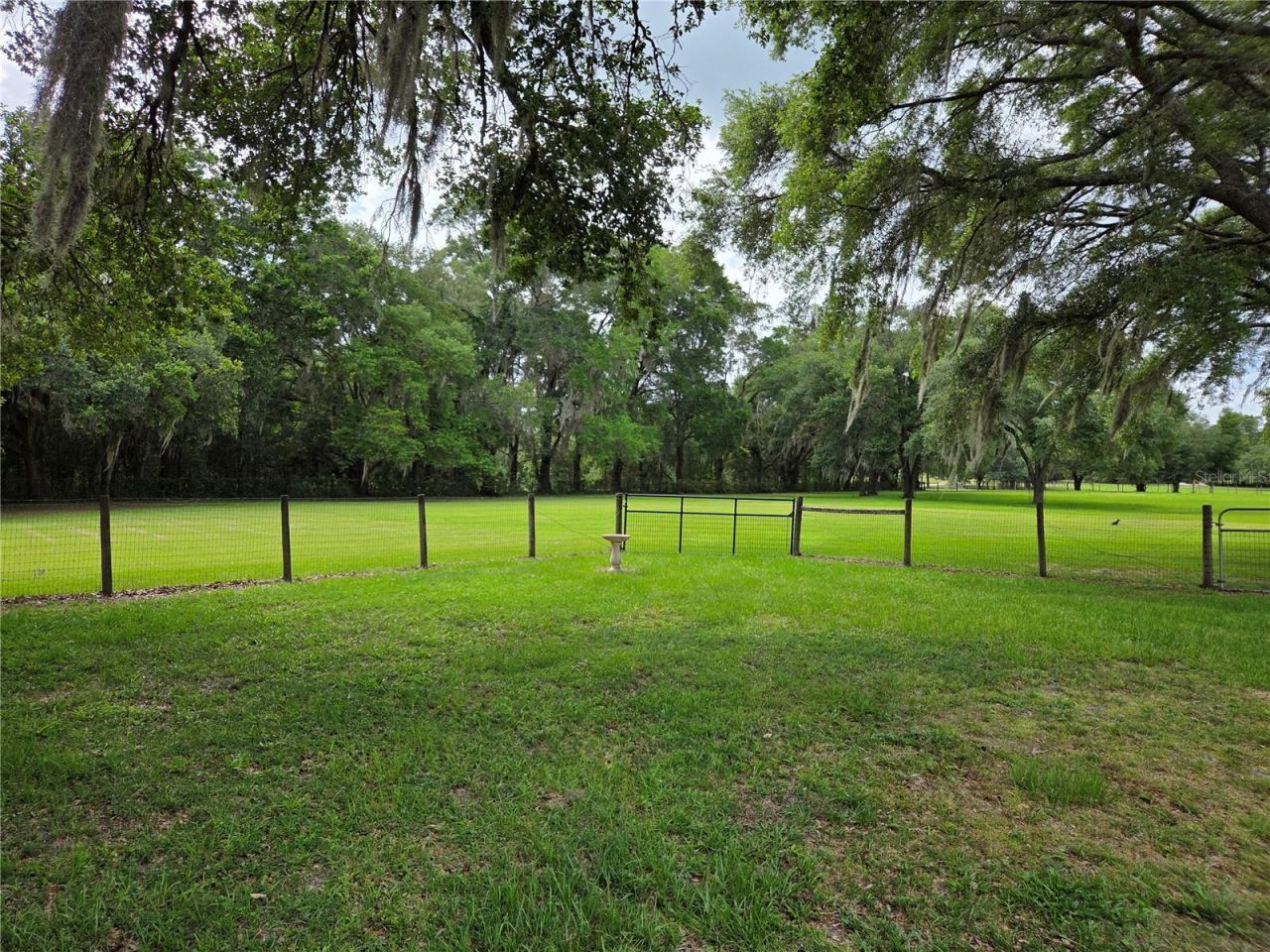 2450 SE 190th Terrace , Morriston, FL 32668 Photo