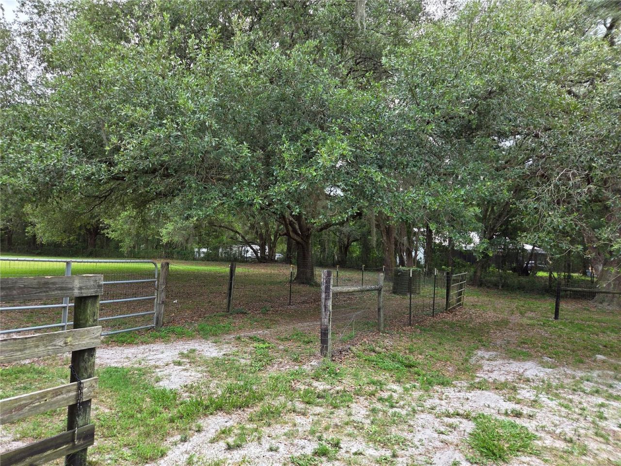 2450 SE 190th Terrace , Morriston, FL 32668 Photo