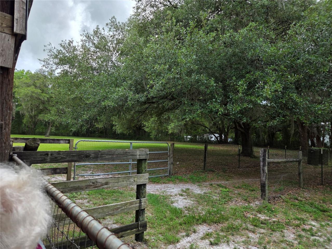 2450 SE 190th Terrace , Morriston, FL 32668 Photo