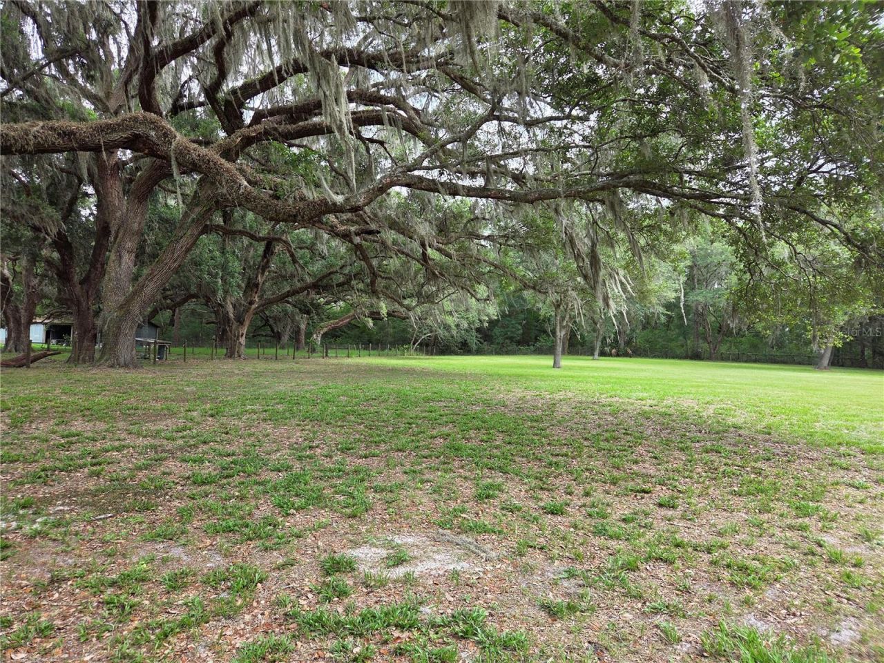 2450 SE 190th Terrace , Morriston, FL 32668 Photo