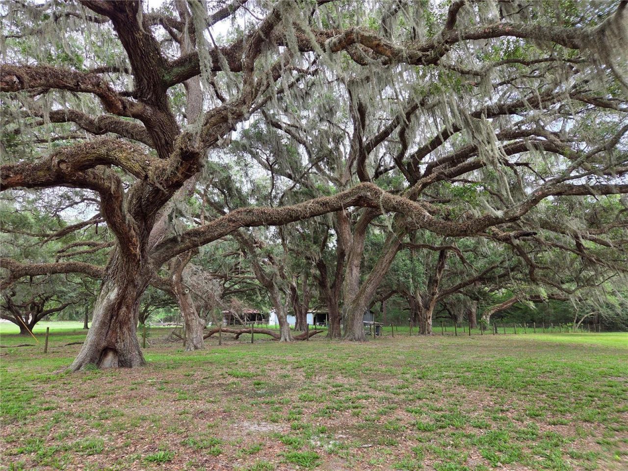 2450 SE 190th Terrace , Morriston, FL 32668 Photo