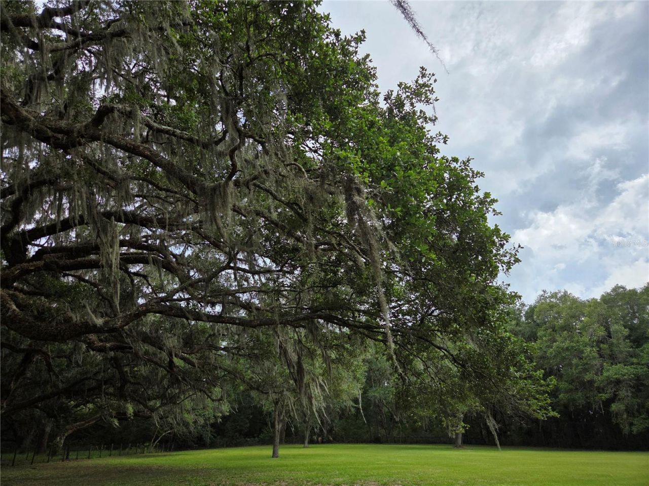2450 SE 190th Terrace , Morriston, FL 32668 Photo