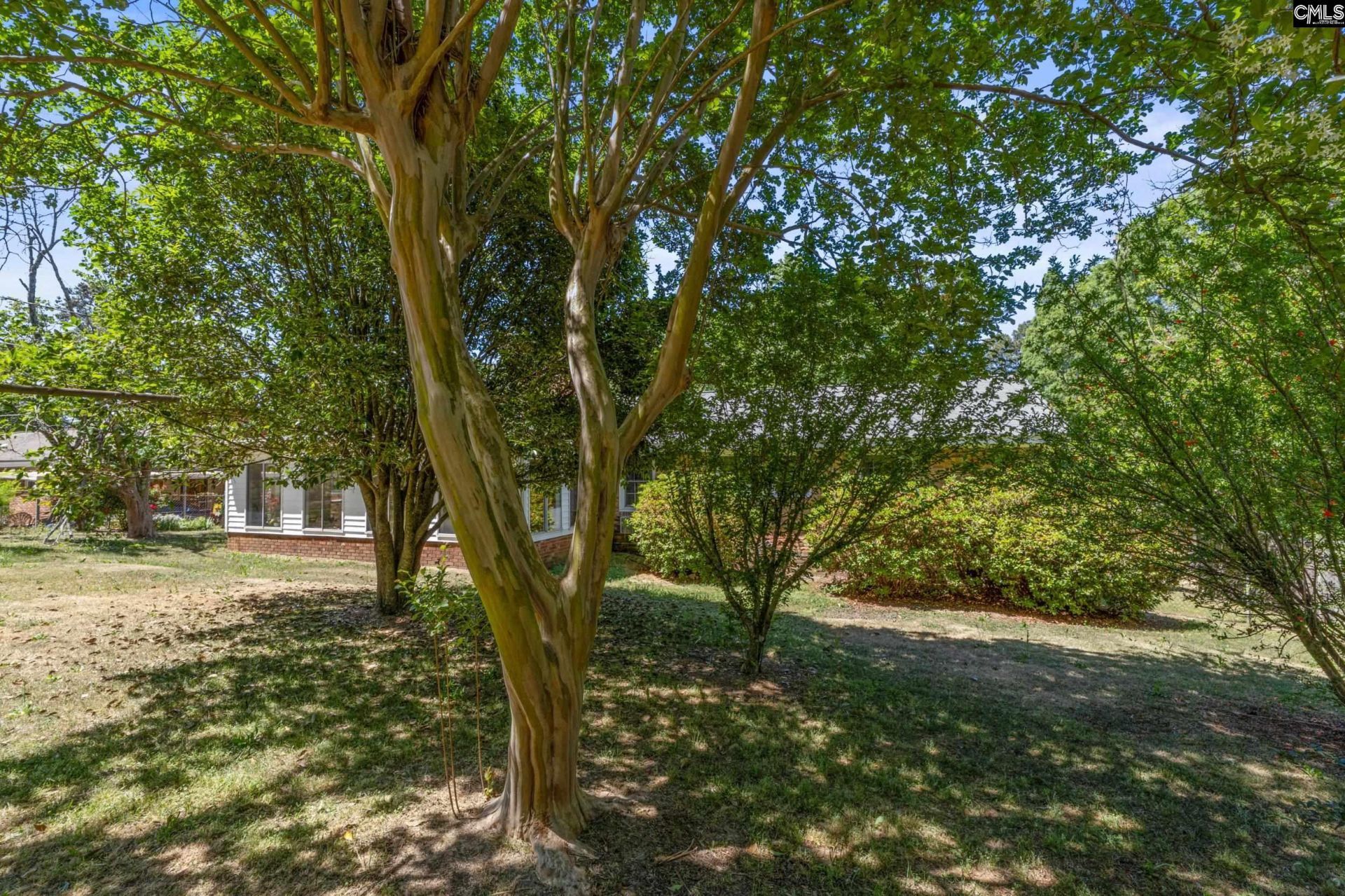 1824 Fairhaven Drive  Photo 37