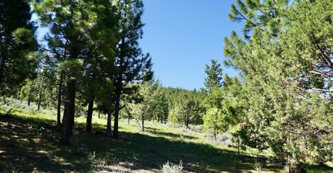 1034 Great Spirit, Lot #GM#16, Portola, CA 96122 Photo