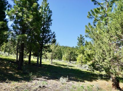 1034 Great Spirit, Lot #GM#16, Portola, CA 96122 Photo