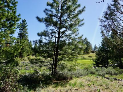 1034 Great Spirit, Lot #GM#16, Portola, CA 96122 Photo