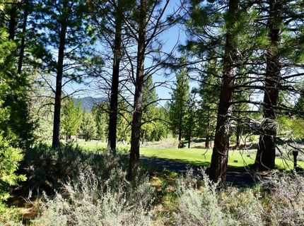 1034 Great Spirit, Lot #GM#16, Portola, CA 96122 Photo