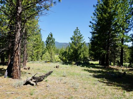 1034 Great Spirit, Lot #GM#16, Portola, CA 96122 Photo