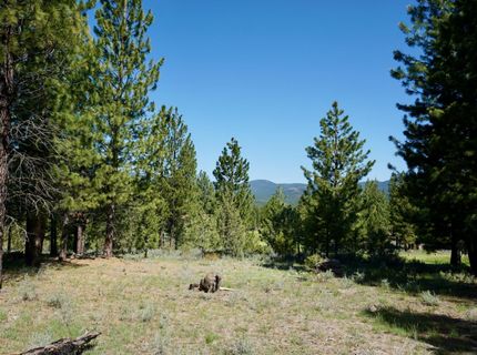 1034 Great Spirit, Lot #GM#16, Portola, CA 96122 Photo