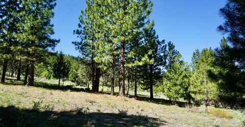 1034 Great Spirit, Lot #GM#16, Portola, CA 96122 Photo