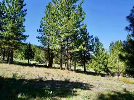 1034 Great Spirit, Lot #GM#16, Portola, CA 96122 Photo