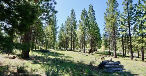 1034 Great Spirit, Lot #GM#16, Portola, CA 96122 Photo