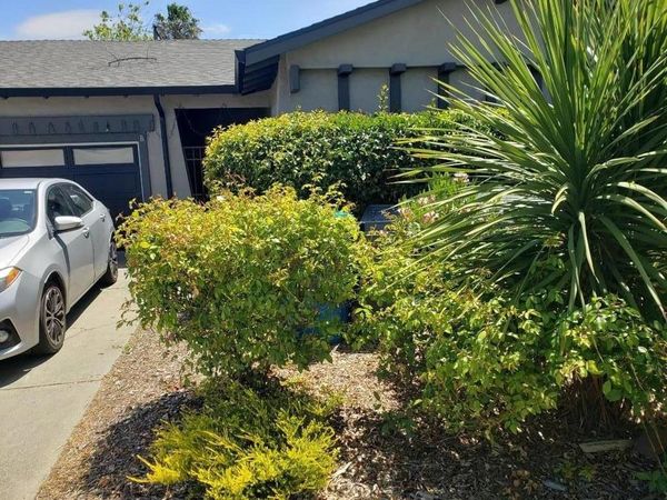 10384 Vista Drive, Unit B, Cupertino, CA 95014