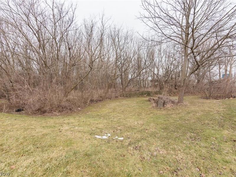 35206 Center Ridge Road, North Ridgeville, OH 44039 Photo 4