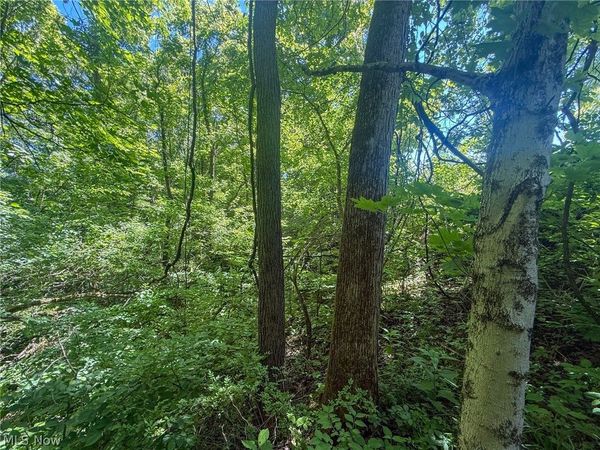 Keffer Rd , Stockport, OH 43787