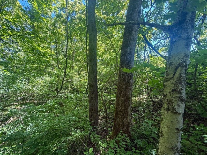 Keffer Rd, Stockport, OH 43787 Photo 1