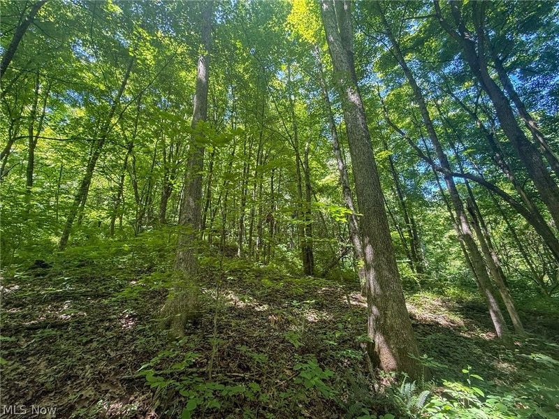 Keffer Rd, Stockport, OH 43787 Photo 10