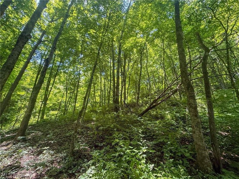 Keffer Rd, Stockport, OH 43787 Photo 11
