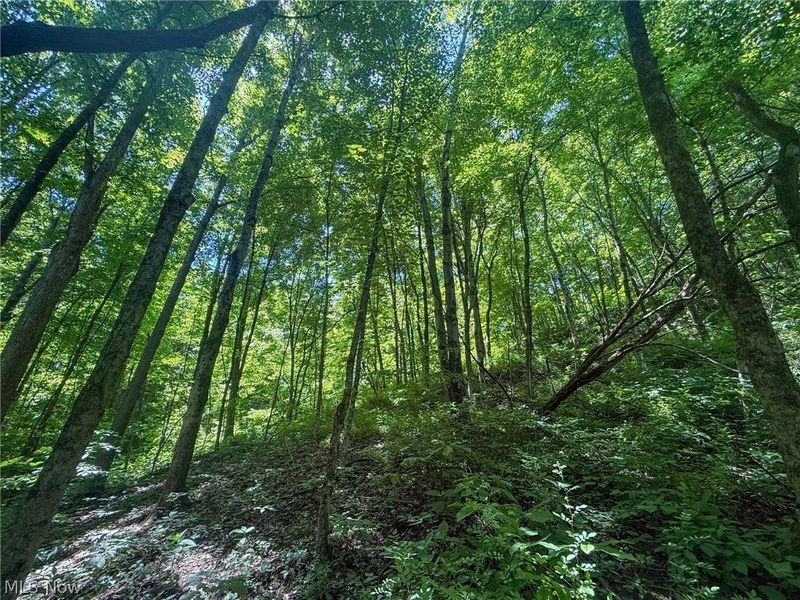 Keffer Rd, Stockport, OH 43787 Photo 12