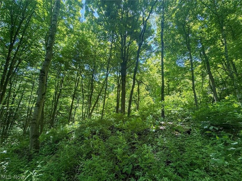 Keffer Rd, Stockport, OH 43787 Photo 13