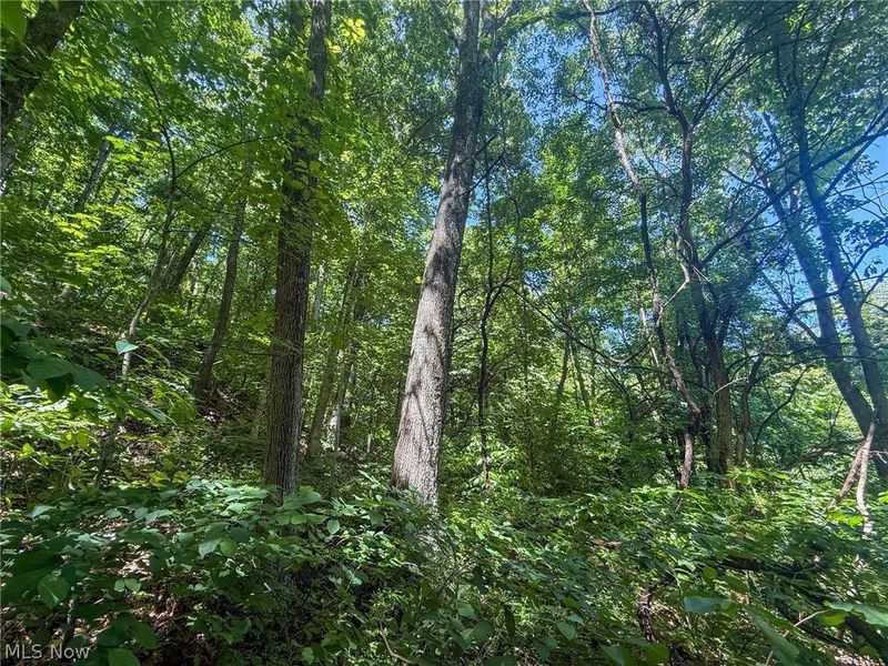 Keffer Rd, Stockport, OH 43787 Photo 14