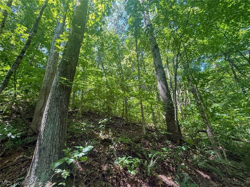 Keffer Rd, Stockport, OH 43787 Photo 15