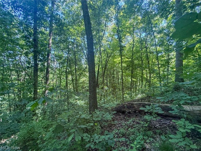 Keffer Rd, Stockport, OH 43787 Photo 16