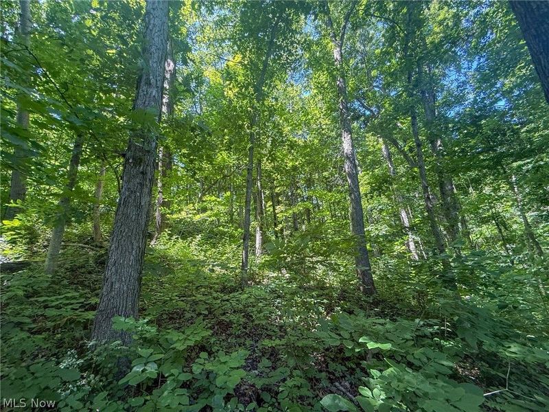 Keffer Rd, Stockport, OH 43787 Photo 17