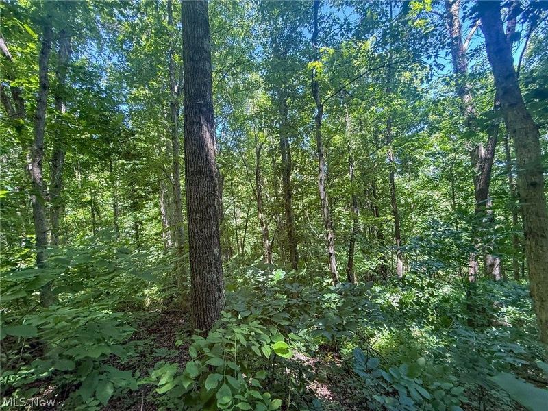 Keffer Rd, Stockport, OH 43787 Photo 18