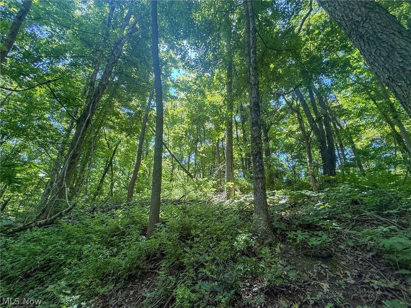 Keffer Rd, Stockport, OH 43787 Photo 19