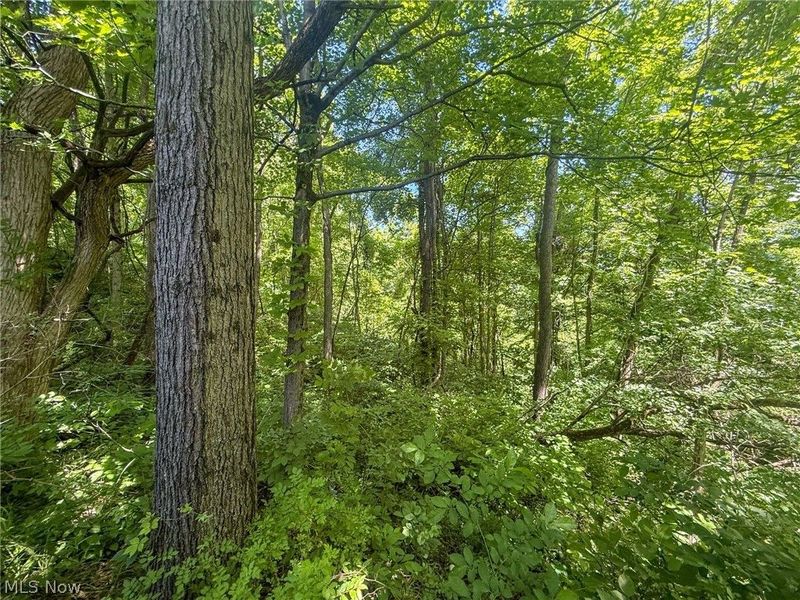 Keffer Rd, Stockport, OH 43787 Photo 2