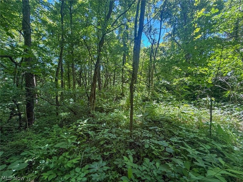 Keffer Rd, Stockport, OH 43787 Photo 20