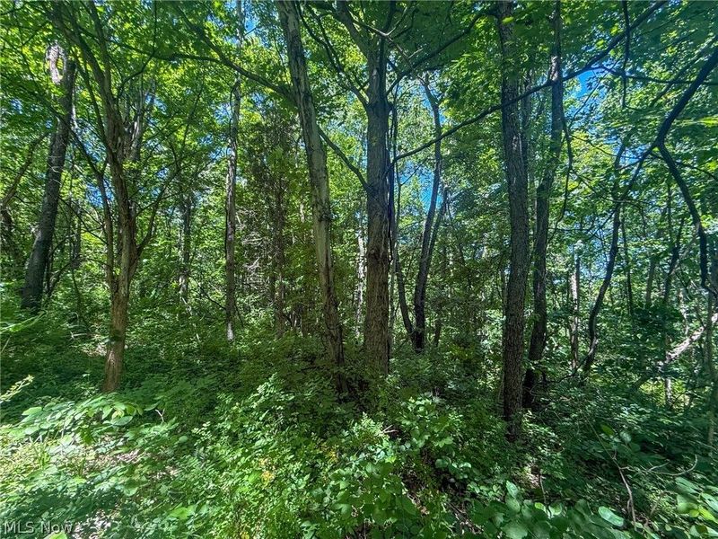 Keffer Rd, Stockport, OH 43787 Photo 21