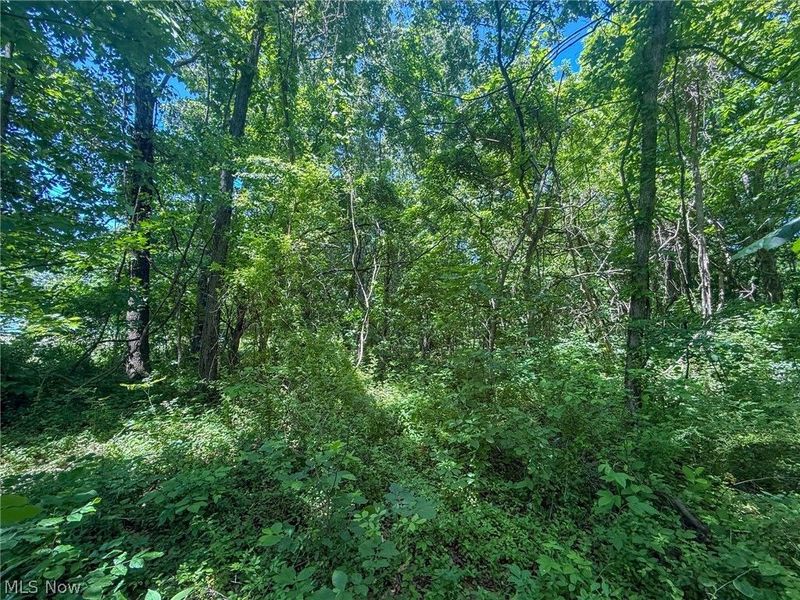 Keffer Rd, Stockport, OH 43787 Photo 22