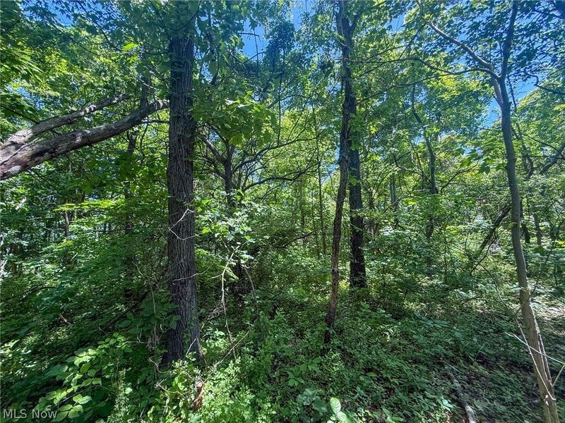 Keffer Rd, Stockport, OH 43787 Photo 23