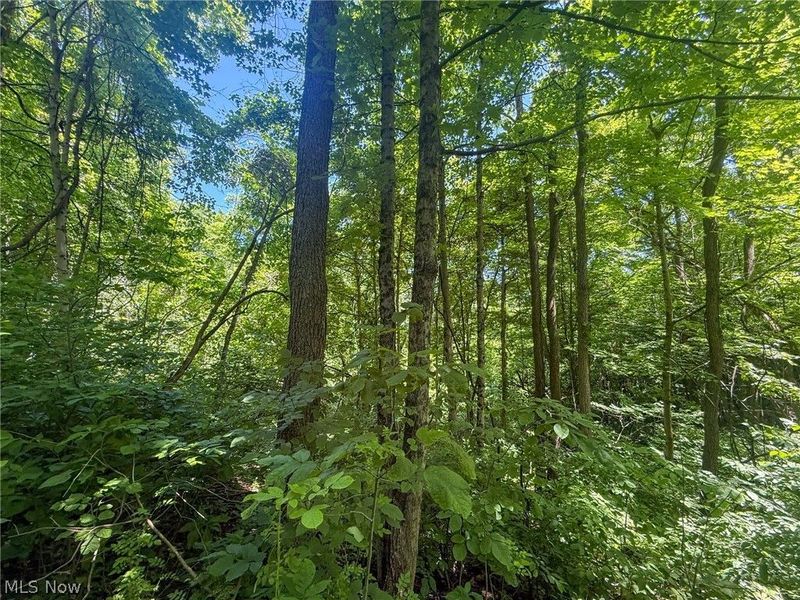 Keffer Rd, Stockport, OH 43787 Photo 3