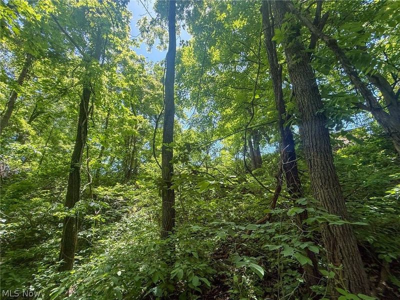 Keffer Rd, Stockport, OH 43787 Photo 4
