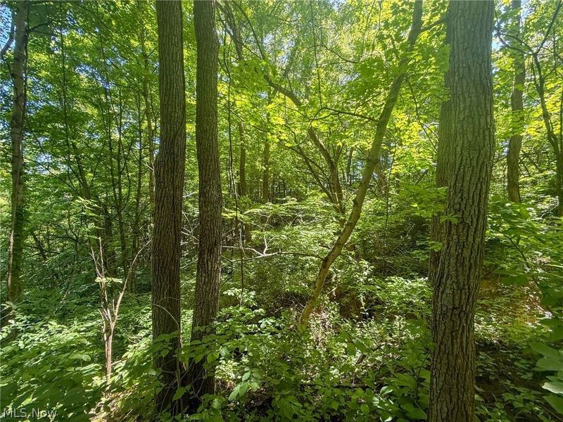 Keffer Rd, Stockport, OH 43787 Photo 5