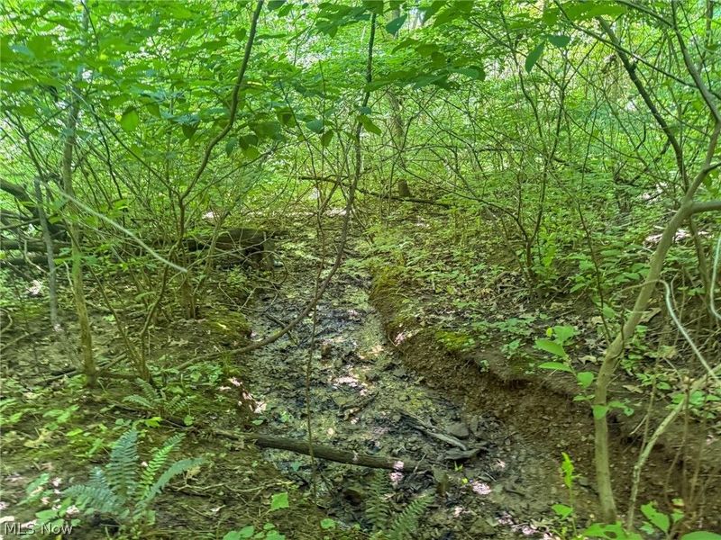 Keffer Rd, Stockport, OH 43787 Photo 7