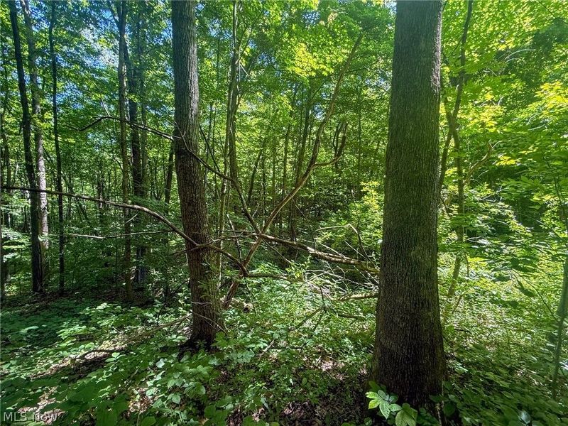 Keffer Rd, Stockport, OH 43787 Photo 8